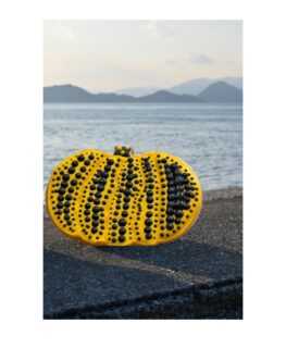 In honor of Yayoi Kusama. “pumpkin”….I just wanted to replicate.  And I know the shape isn’t right but I honor your work and the achievements.  Rest in peace. 
どうしても作りたくなってしまった草間彌生氏の南瓜。。全然形は違うけど。ハロウィンのかぼちゃ型を使ったので。素晴らしい作品は未来永劫に残ります。
安らかに。。

#yayoikusamapumpkincookie #artistcookie #草間彌生氏かぼちゃクッキー #アートを通して繋がる 真似たクッキー